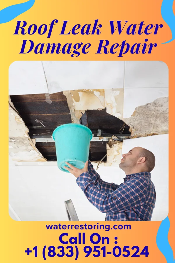 Roof Leak Water Damage Repair in Carnuel, NM